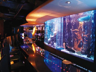 BAR WISTERIA
