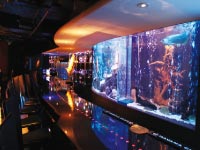 BAR WISTERIA店内画像